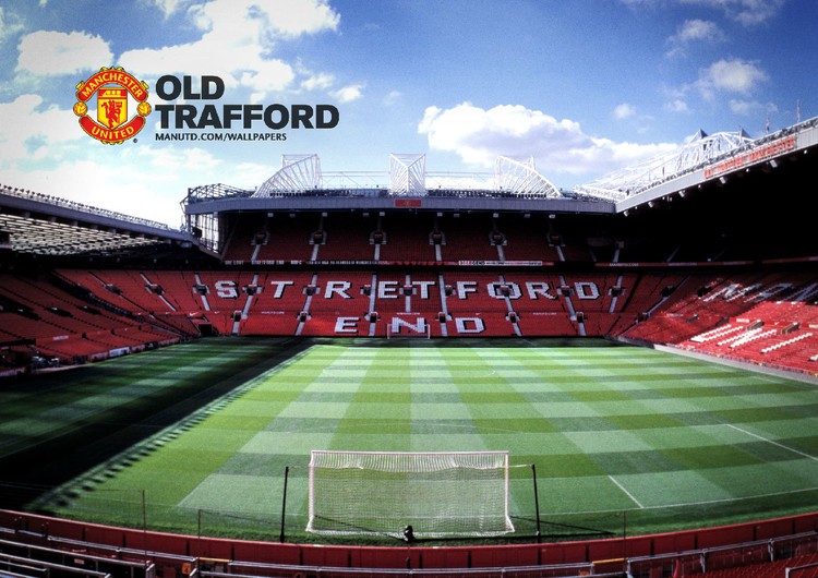 展现出极高 展现出极高